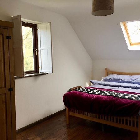 Fernery Garden Cottage, Near Skibbereen Dış mekan fotoğraf