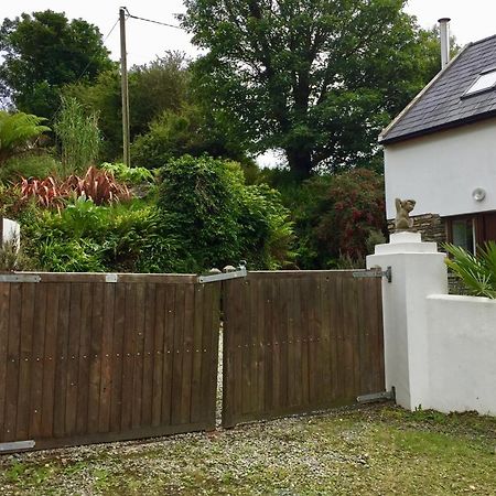 Fernery Garden Cottage, Near Skibbereen Dış mekan fotoğraf